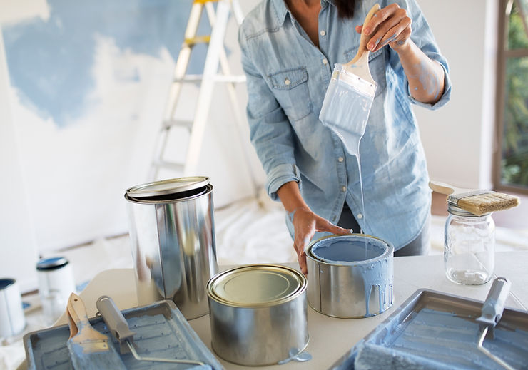 Professional House Painting Services